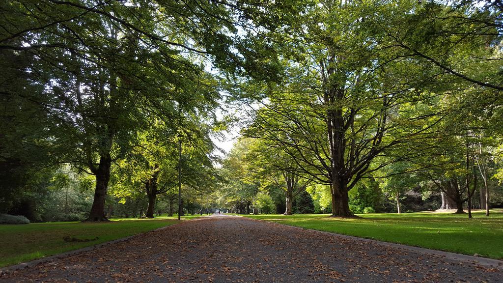 Queens Park Motels Invercargill Εξωτερικό φωτογραφία