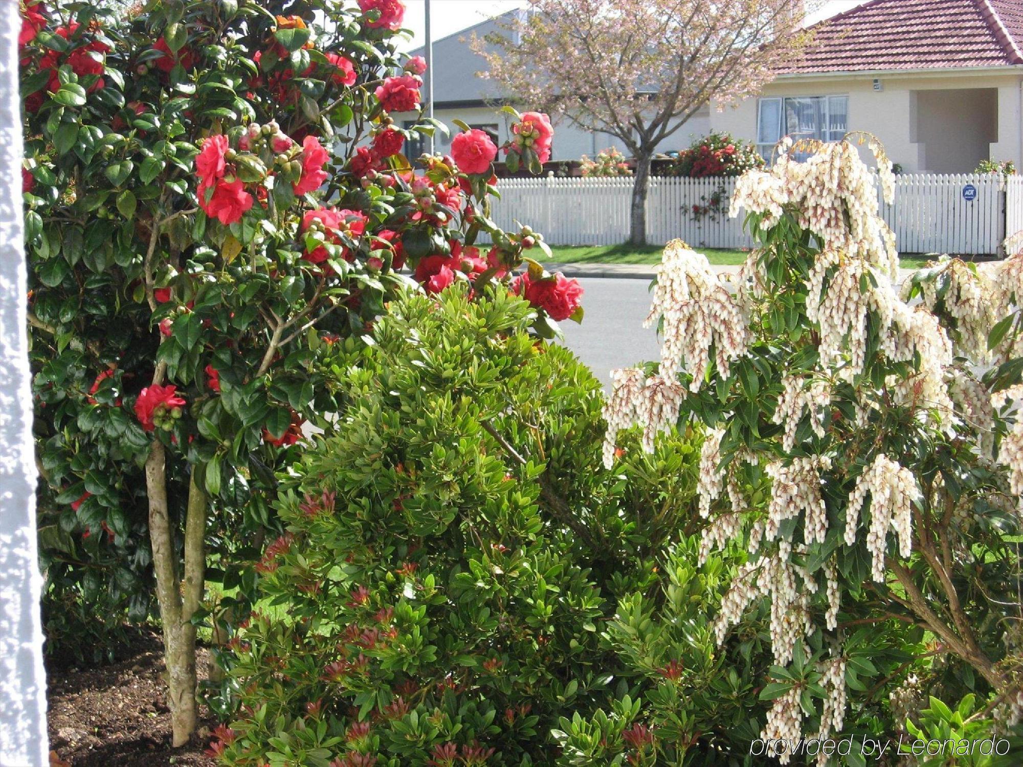 Queens Park Motels Invercargill Εξωτερικό φωτογραφία